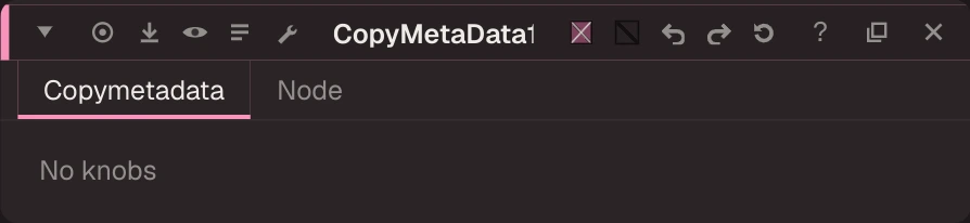 CopyMetaData properties